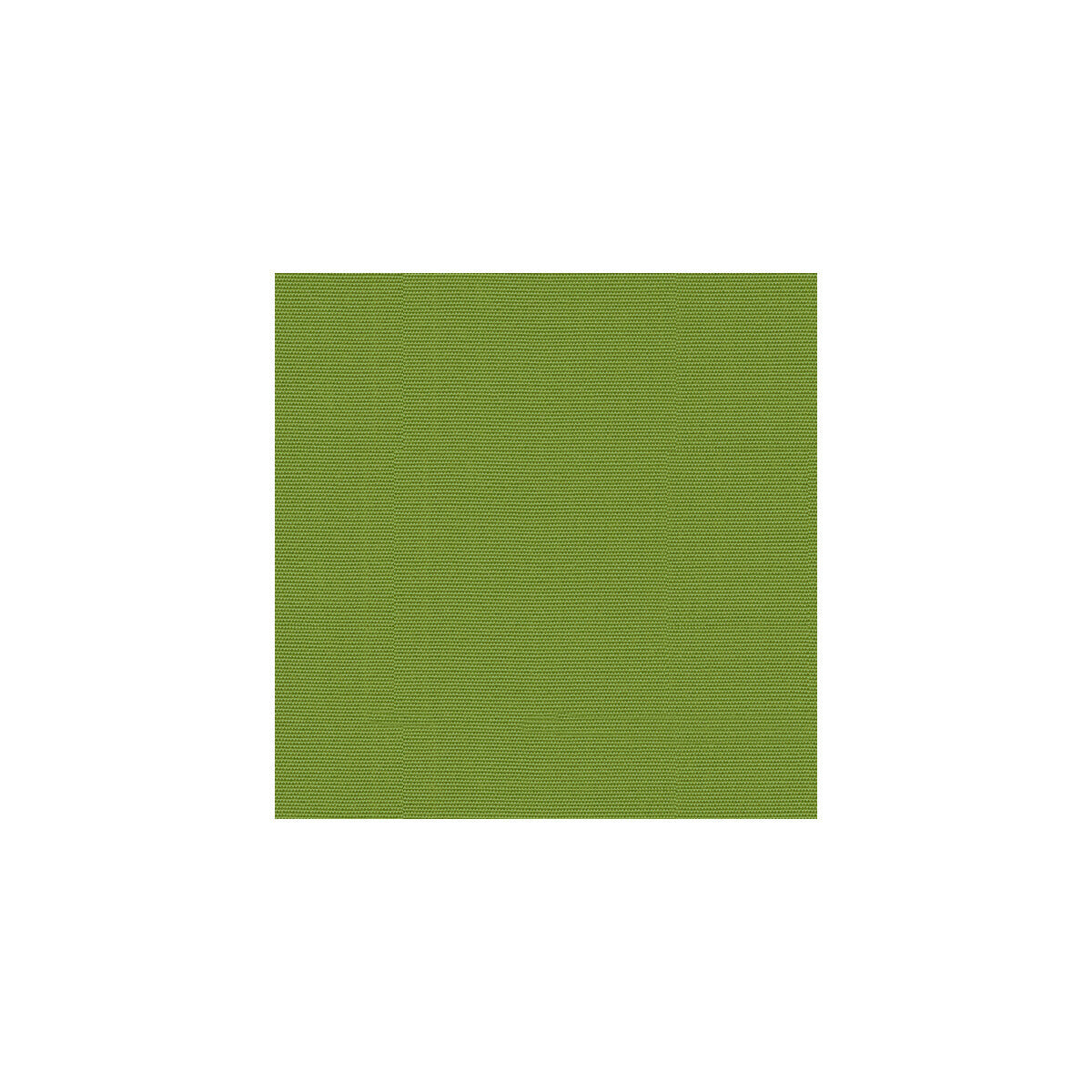 gr-54011-000000-canvas-ginkgo-kravet-design