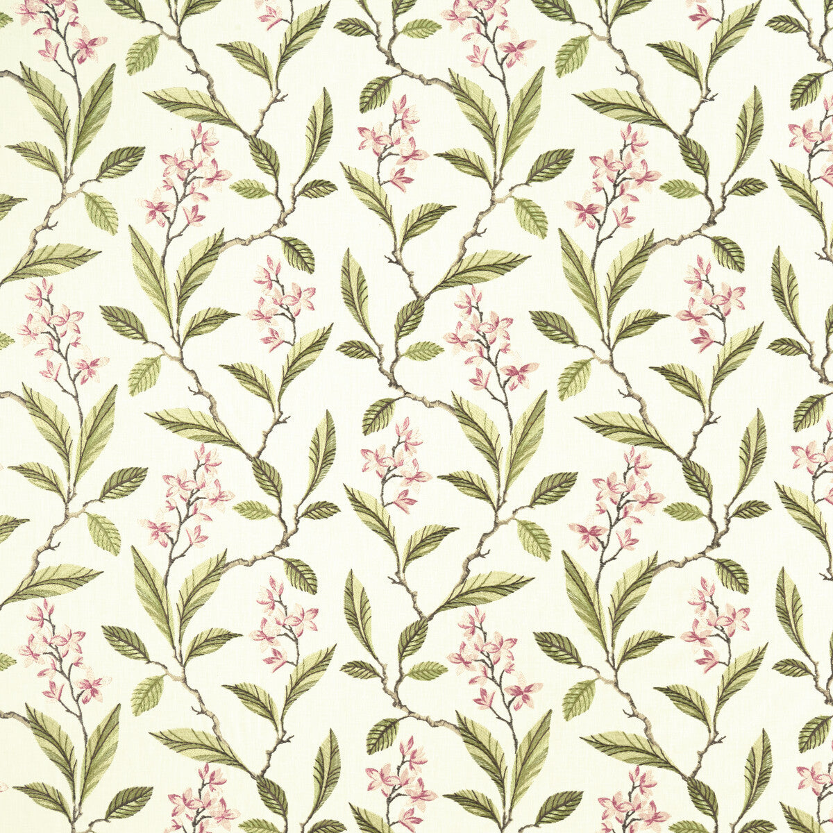 f100805cac0-melrose-pinkapple-clarke-and-clarke - CLARKE AND CLARKE Fabric