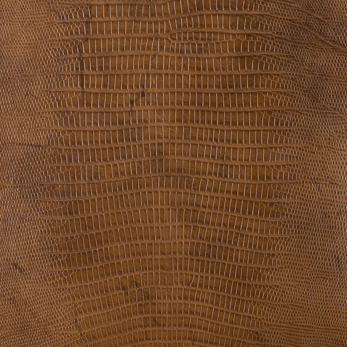 namaqua60-kravet-design-namaqua-6-kravet-design
