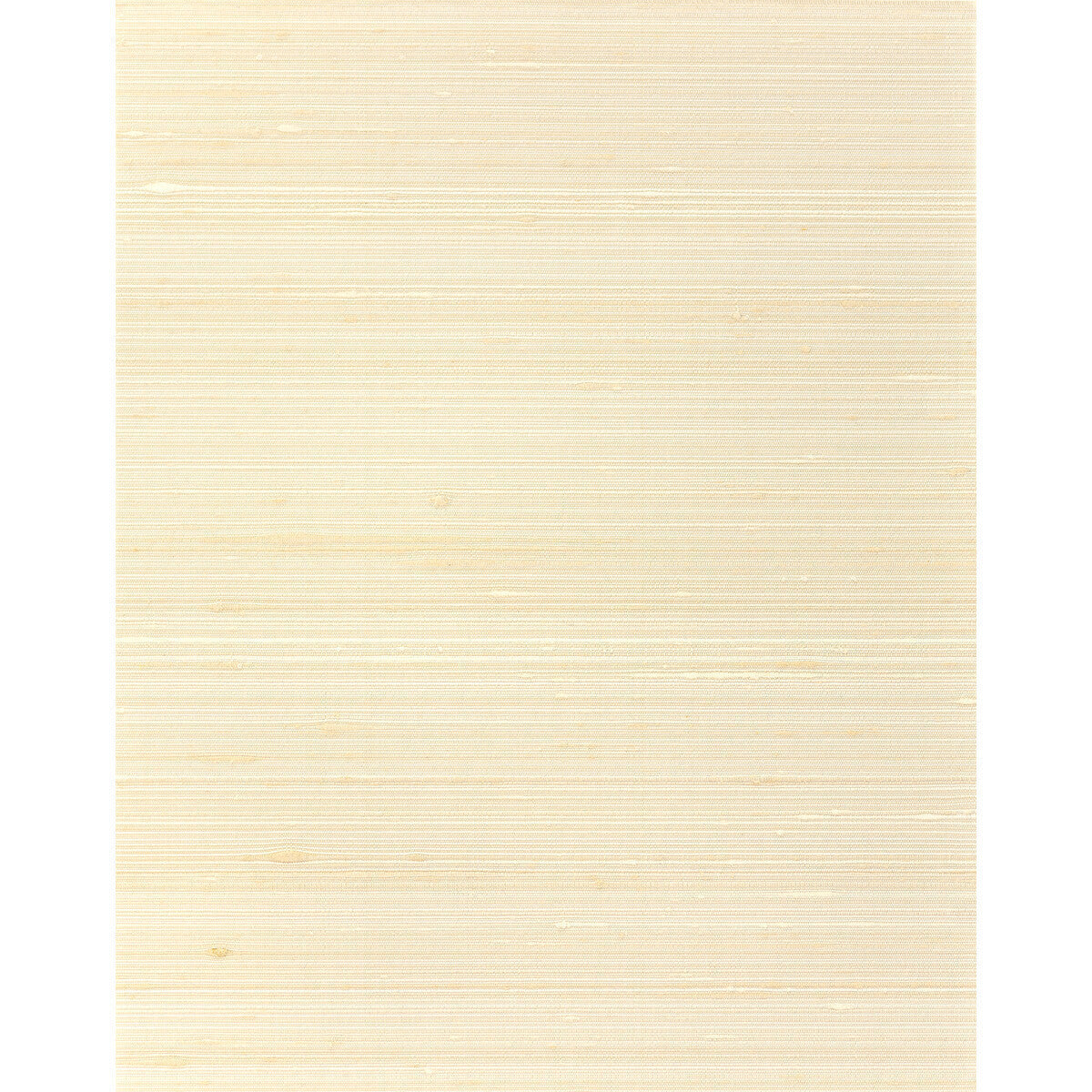 wns5523wt0-grayson-nude-winfield-thybony - WINFIELD THYBONY Wallpaper