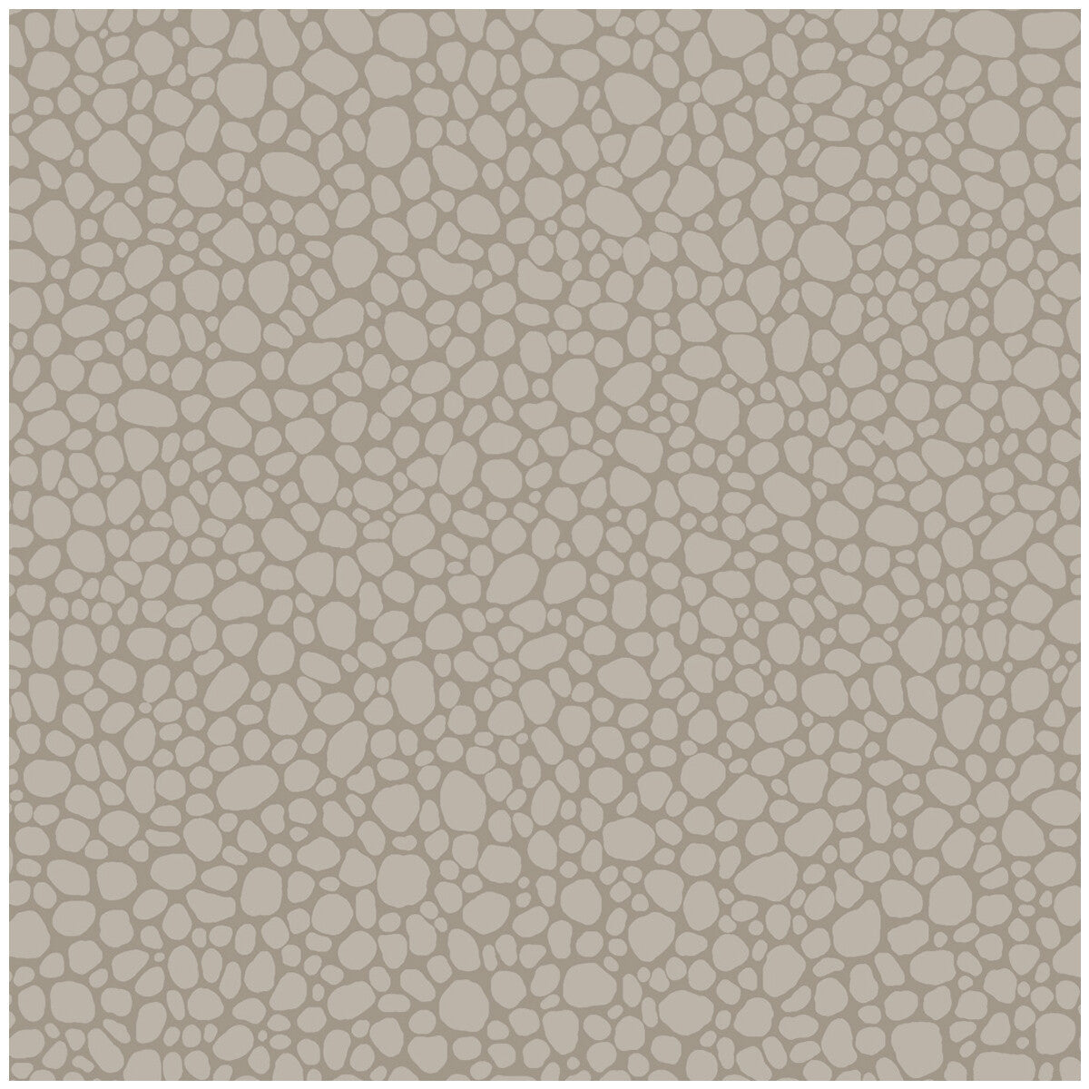 1062016cs0-pebble-mushroom-cole-son