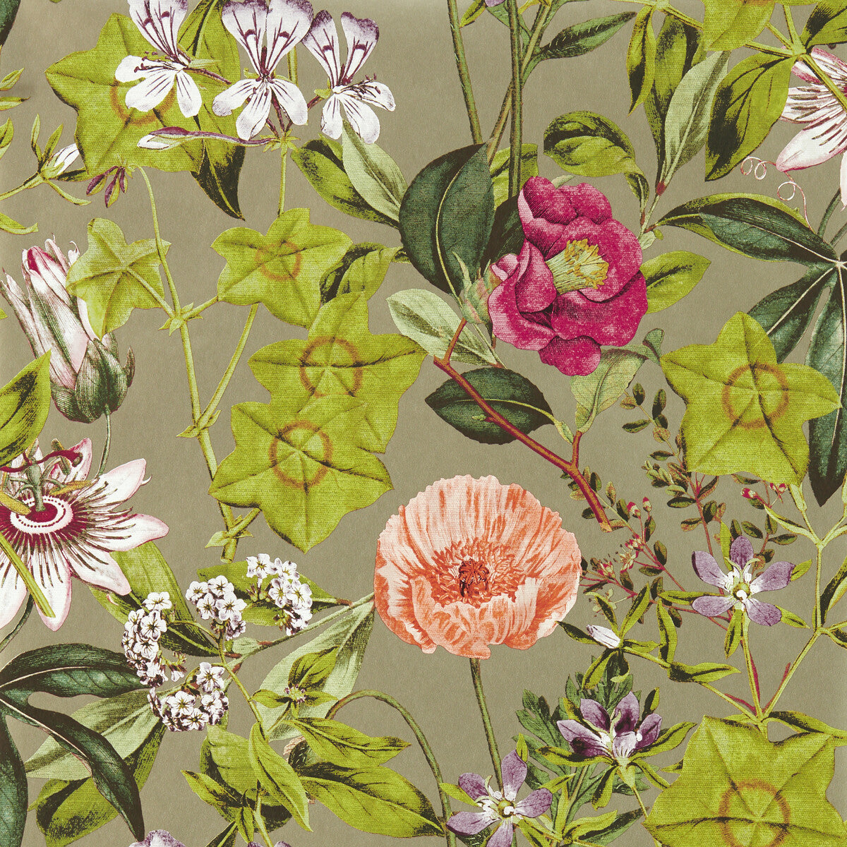 w014303cac0-passiflora-mulberrygilver-wp-clarke-and-clarke - CLARKE AND CLARKE Wallpaper