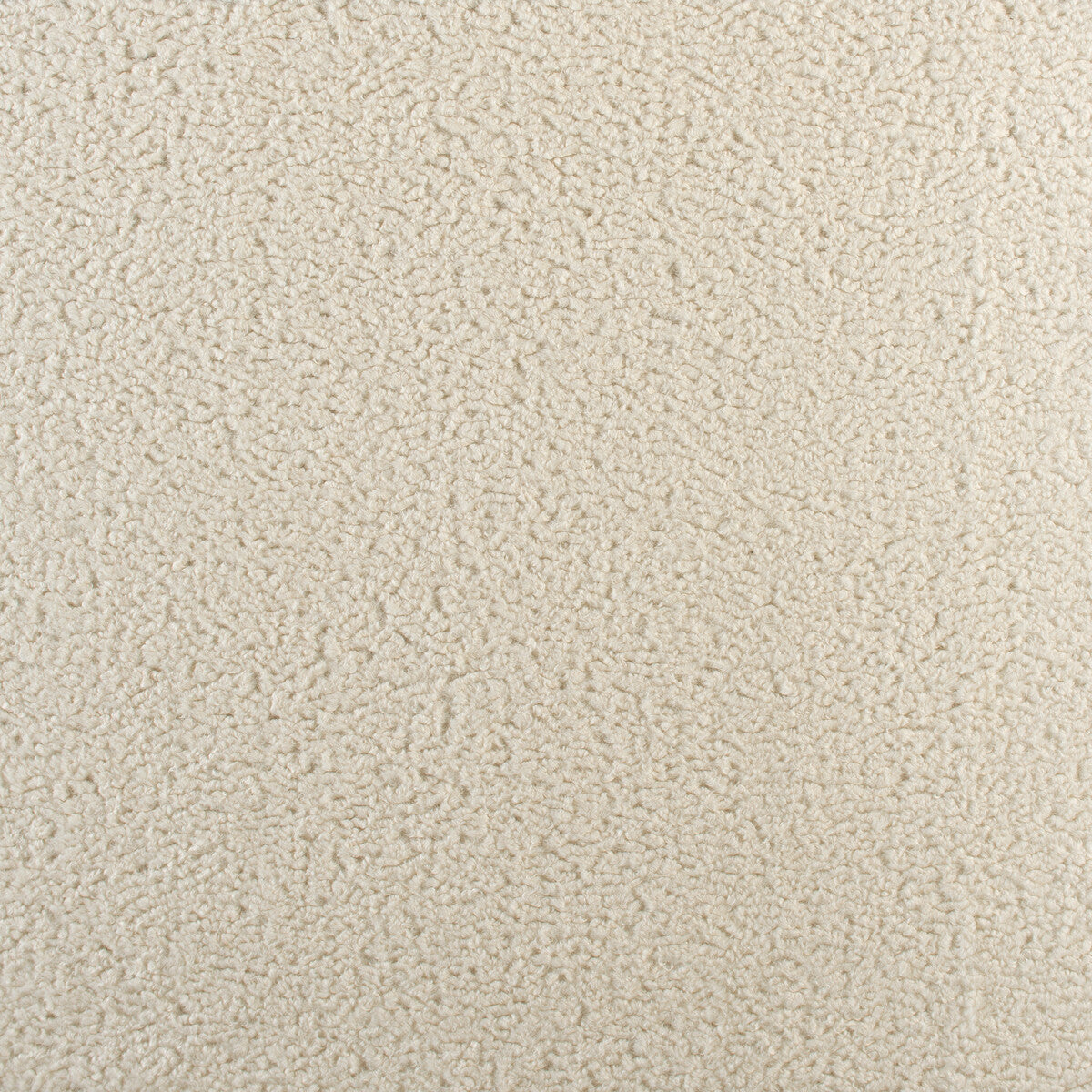 3531010-curly-ivory-kravet-basics