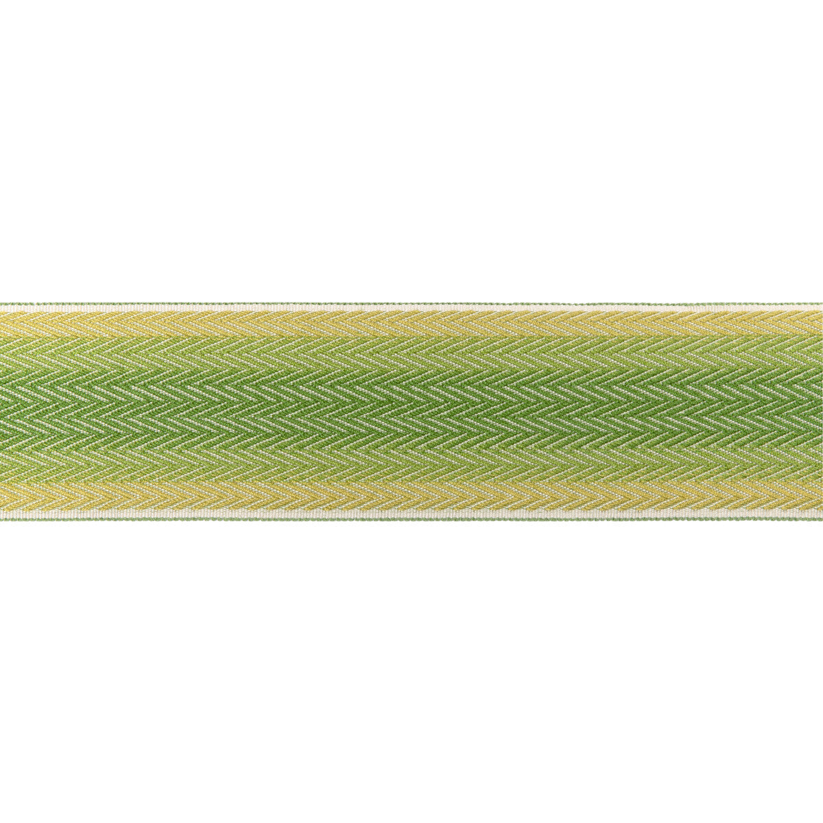 t802410530-barfleur-tape-leaf-brunschwig-fils