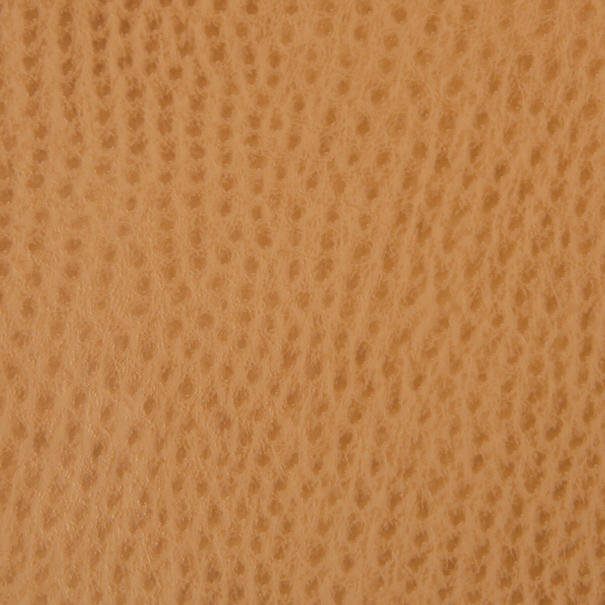 ossy40-kravet-smart-ossy-4-kravet-smart