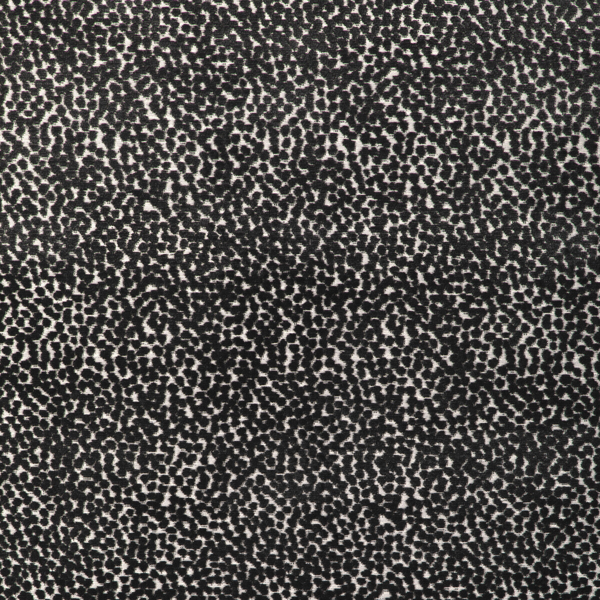 3698880-kravet-design-36988-8-kravet-design