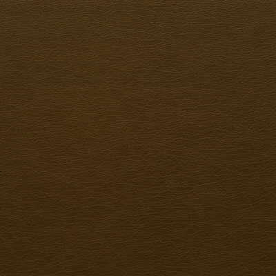 gato660-kravet-design-gato-66-kravet-design