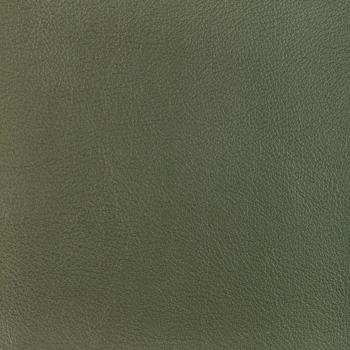 l-ocotillohunter0-kravet-design-l-ocotillo-hunter-kravet-design