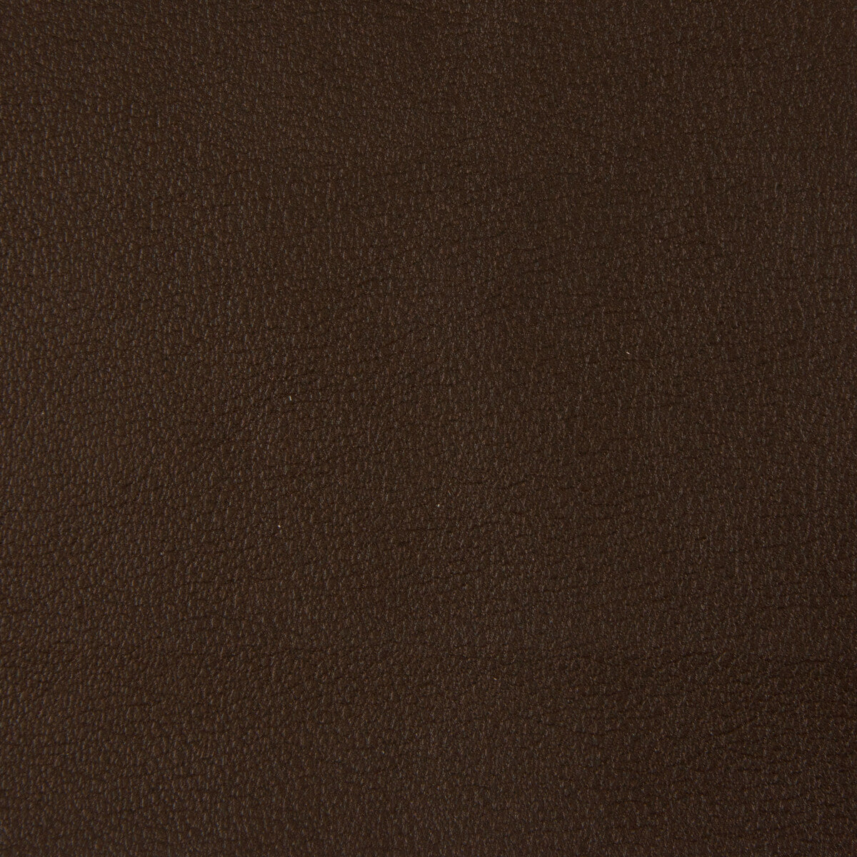 newt660-kravet-smart-newt-66-kravet-smart