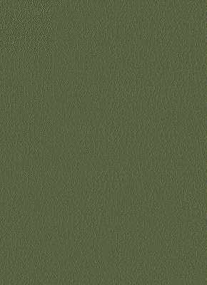 fortune300-kravet-design-fortune-30-kravet-design