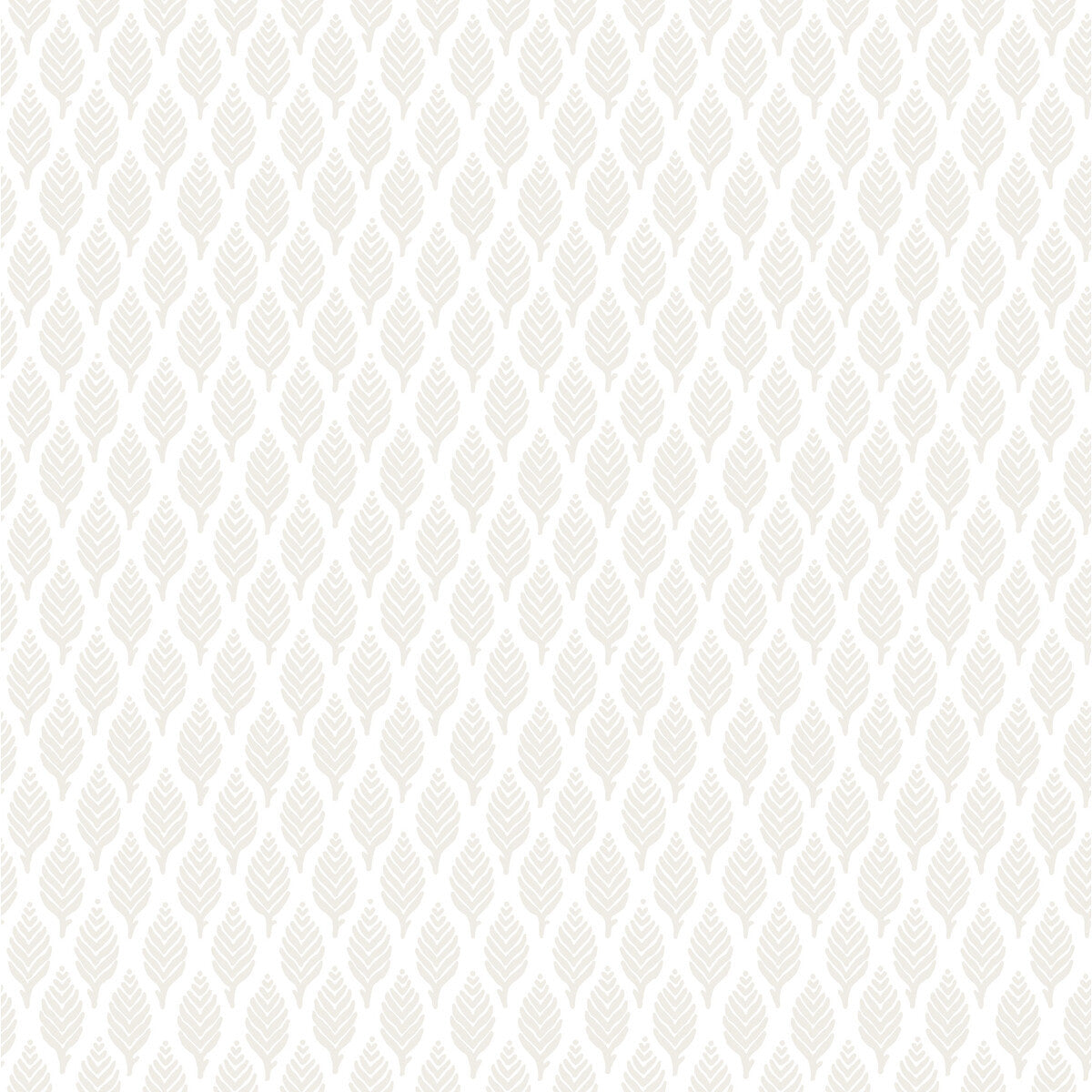 wdr1006wt0-elin-white-winfield-thybony