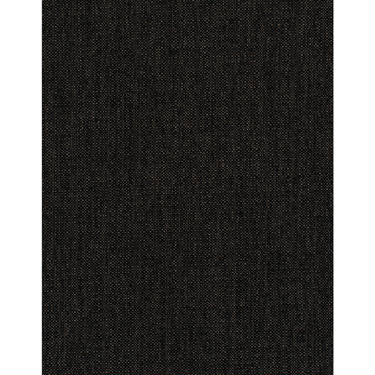 wdw2336wt0-barron-midnight-winfield-thybony - WINFIELD THYBONY Wallpaper