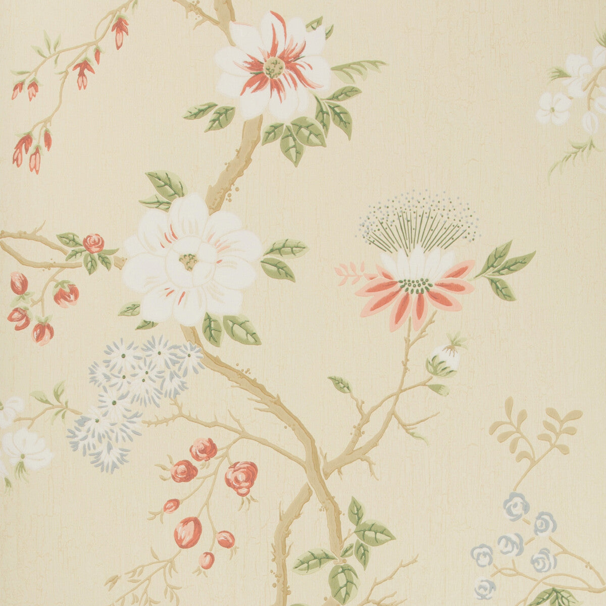 1158023cs0-camellia-coralsagebutterc-cole-son - COLE & SON Wallpaper