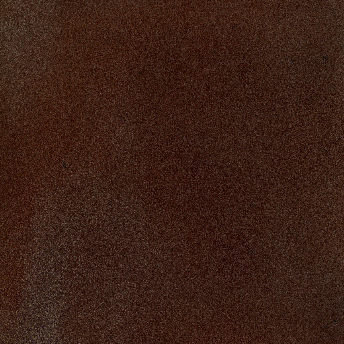 l-adobebrown0-kravet-design-l-adobe-brown-kravet-design