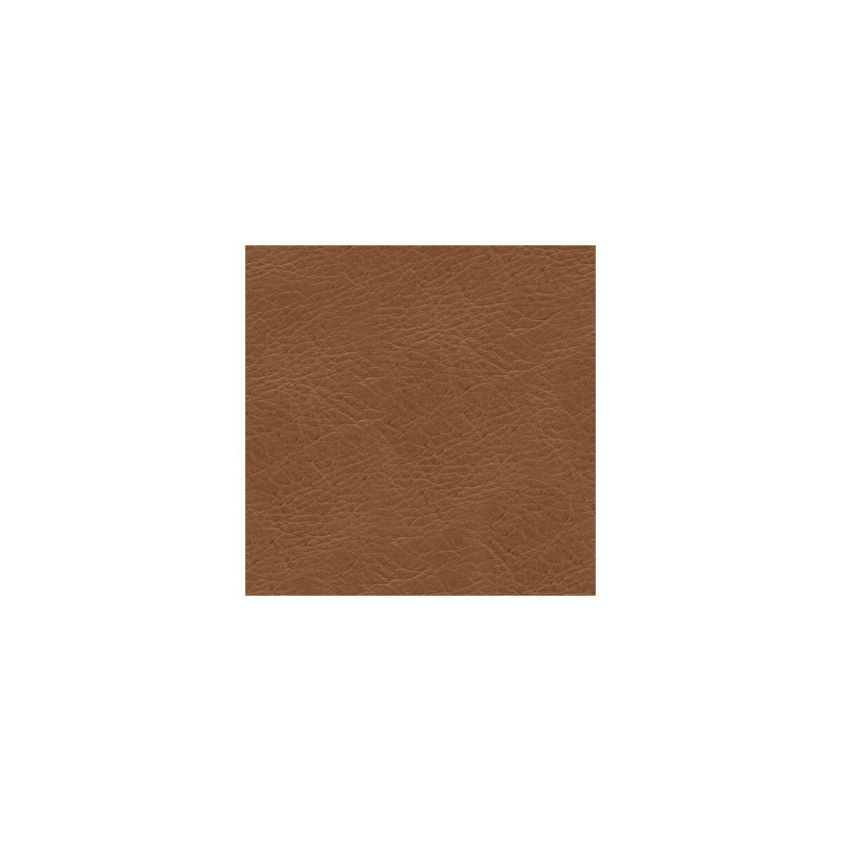 l-timelessdesert0-kravet-design-l-timeless-desert-kravet-design