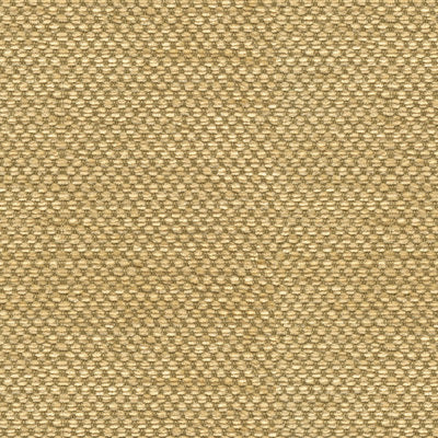 br-817823340-yorke-chenille-gold-with-beige-brunschwig-fils
