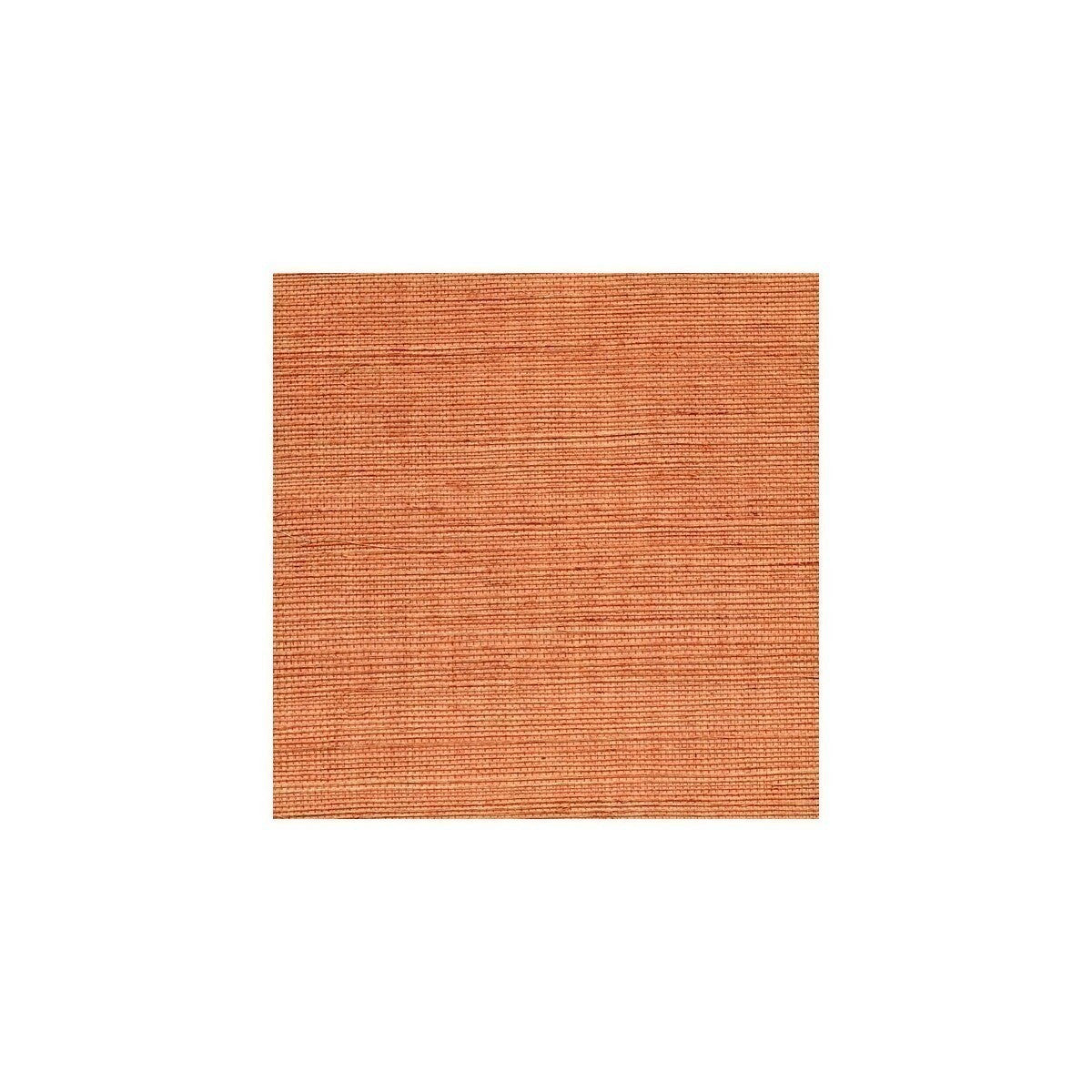 wss4539wt0-sisal-spice-winfield-thybony - WINFIELD THYBONY Wallpaper