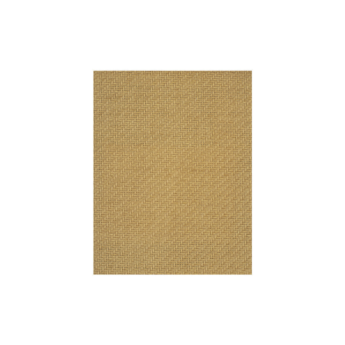wiw2570wt0-fernwood-custard-winfield-thybony - WINFIELD THYBONY Wallpaper