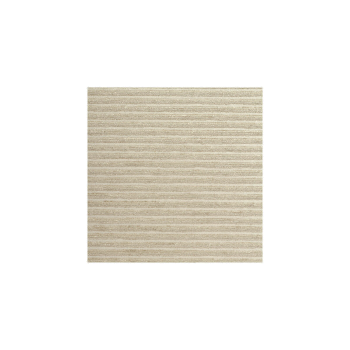 wte6027wt0-cervelli-oyster-winfield-thybony - WINFIELD THYBONY Wallpaper