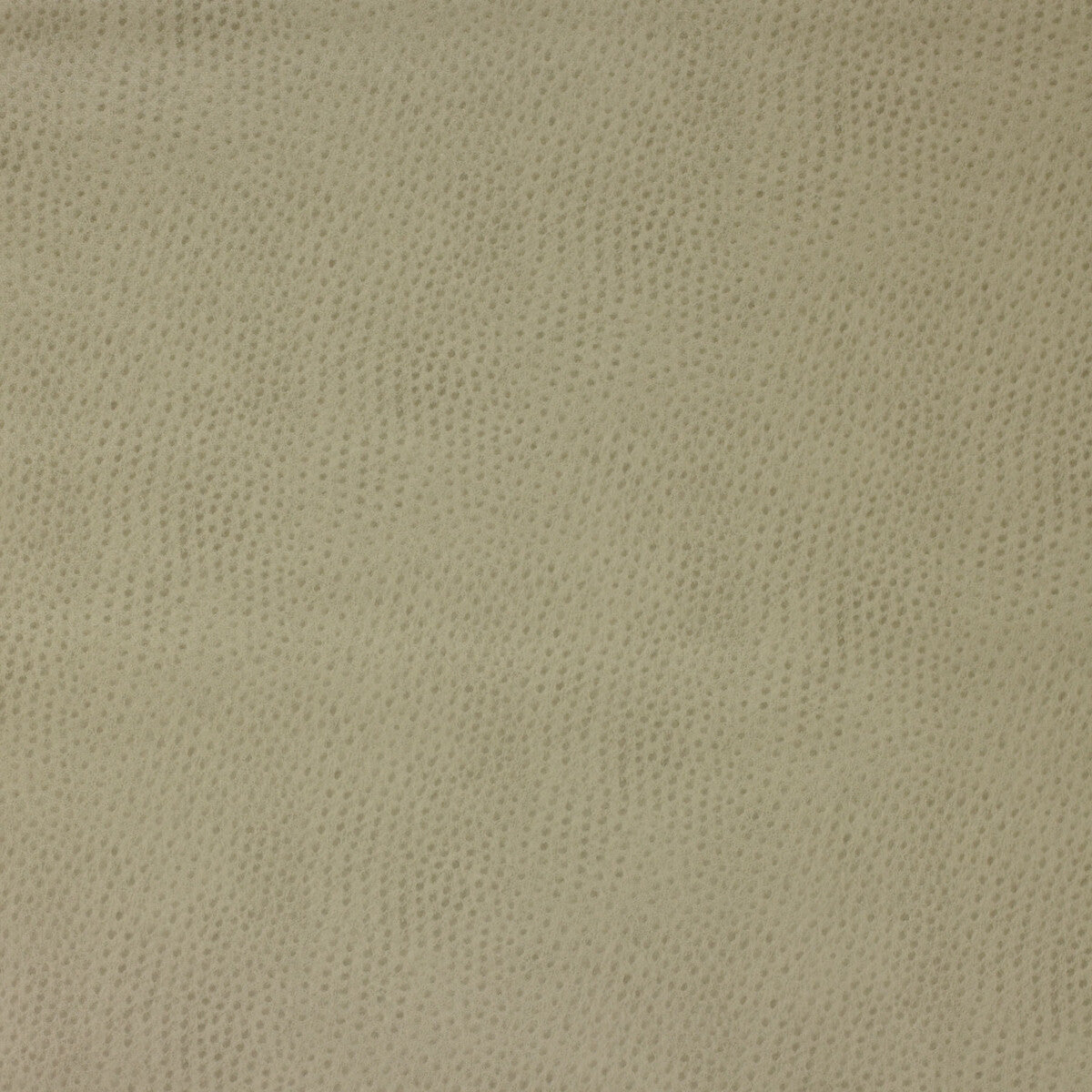 delaney1060-kravet-design-delaney-106-kravet-design - KRAVET DESIGN Fabric