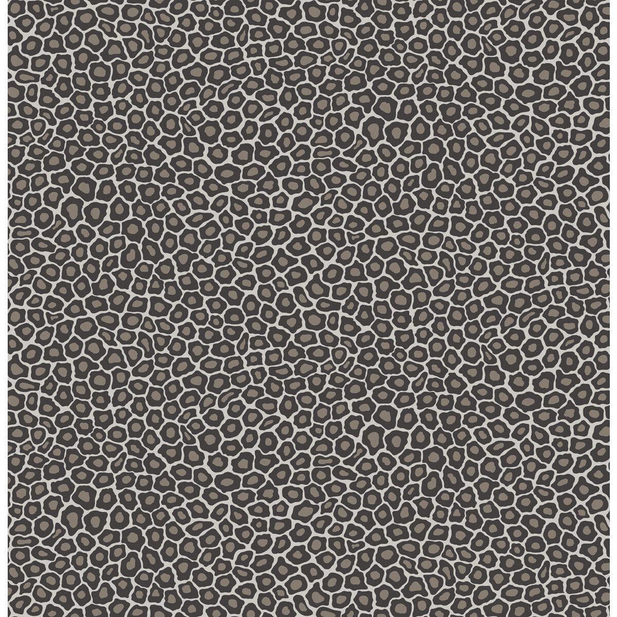 1096031cs0-senzo-spot-black-white-cole-son