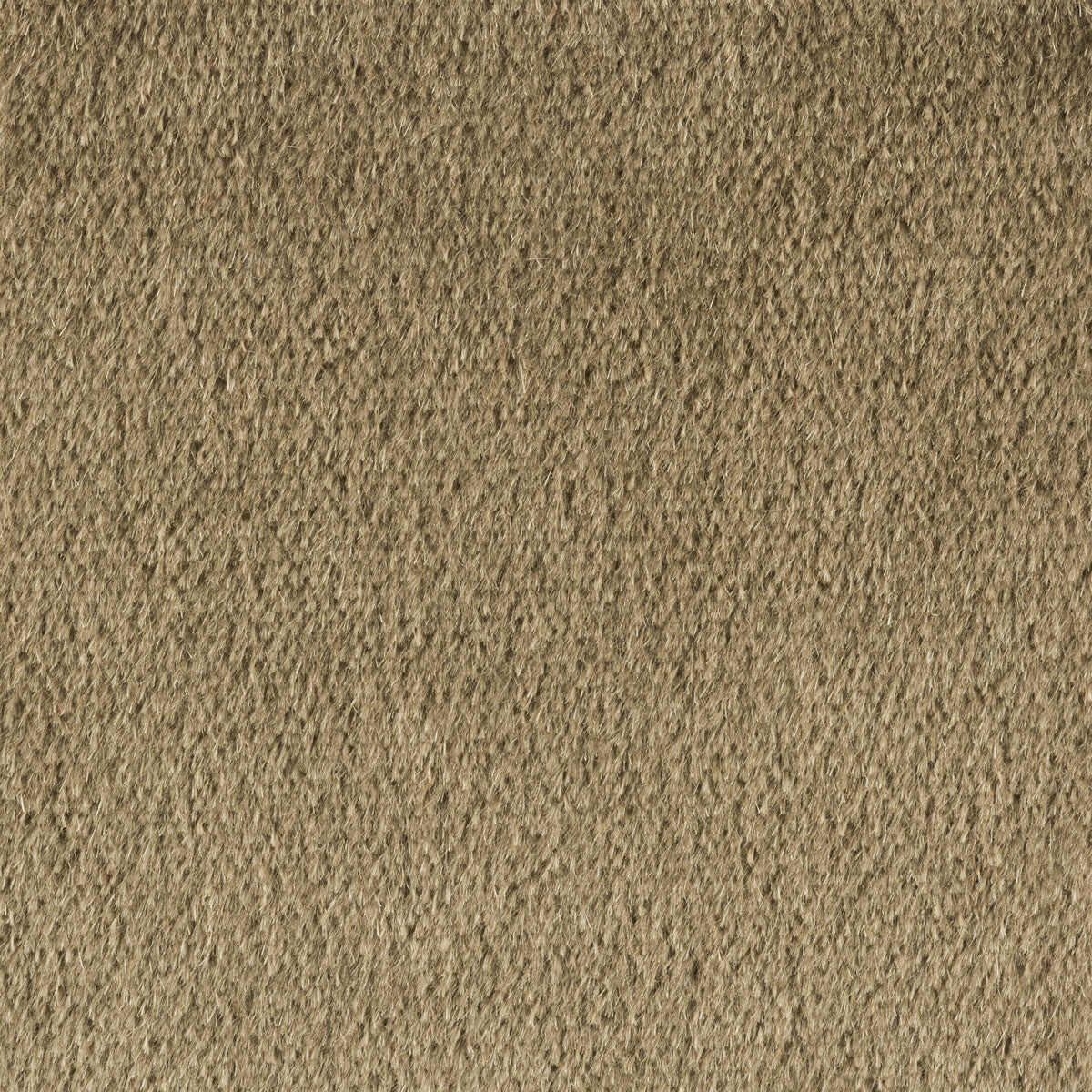 br-897788810-autun-mohair-velvet-tobacco-brunschwig-fils - BRUNSCHWIG & FILS Fabric