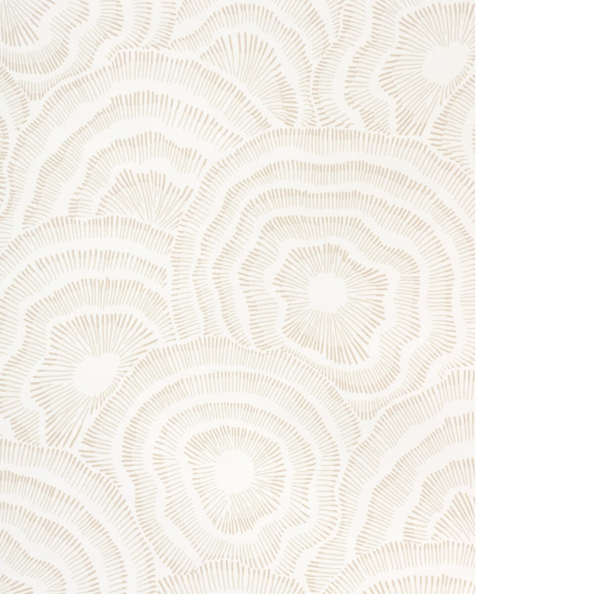 w3823160-panache-wp-natural-kravet-couture
