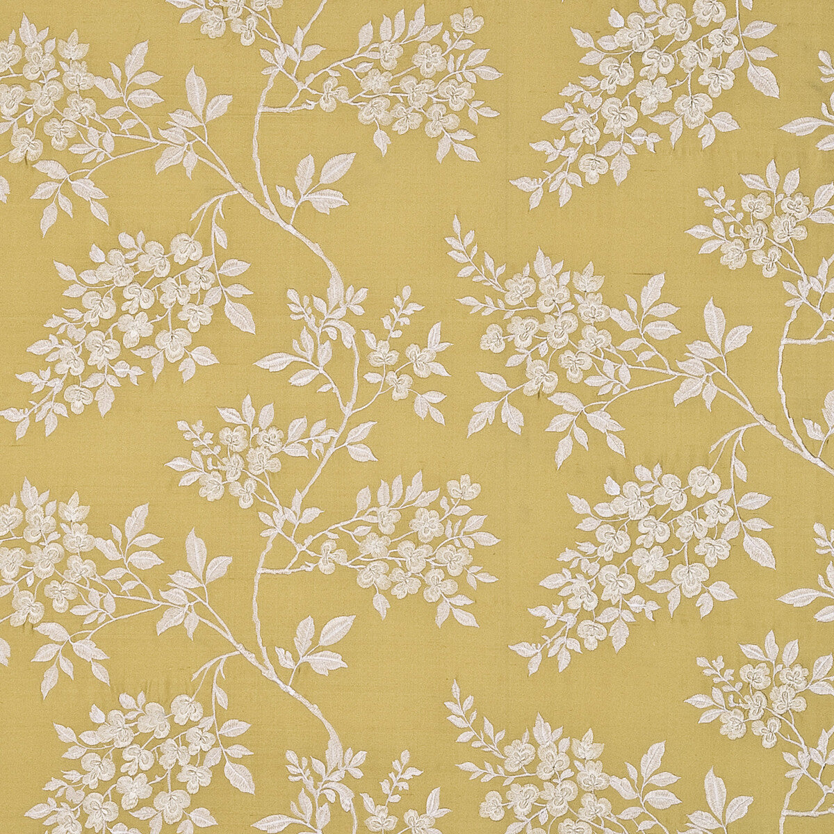 bf1039910-wisteria-silk-mimosa-g-p-j-baker