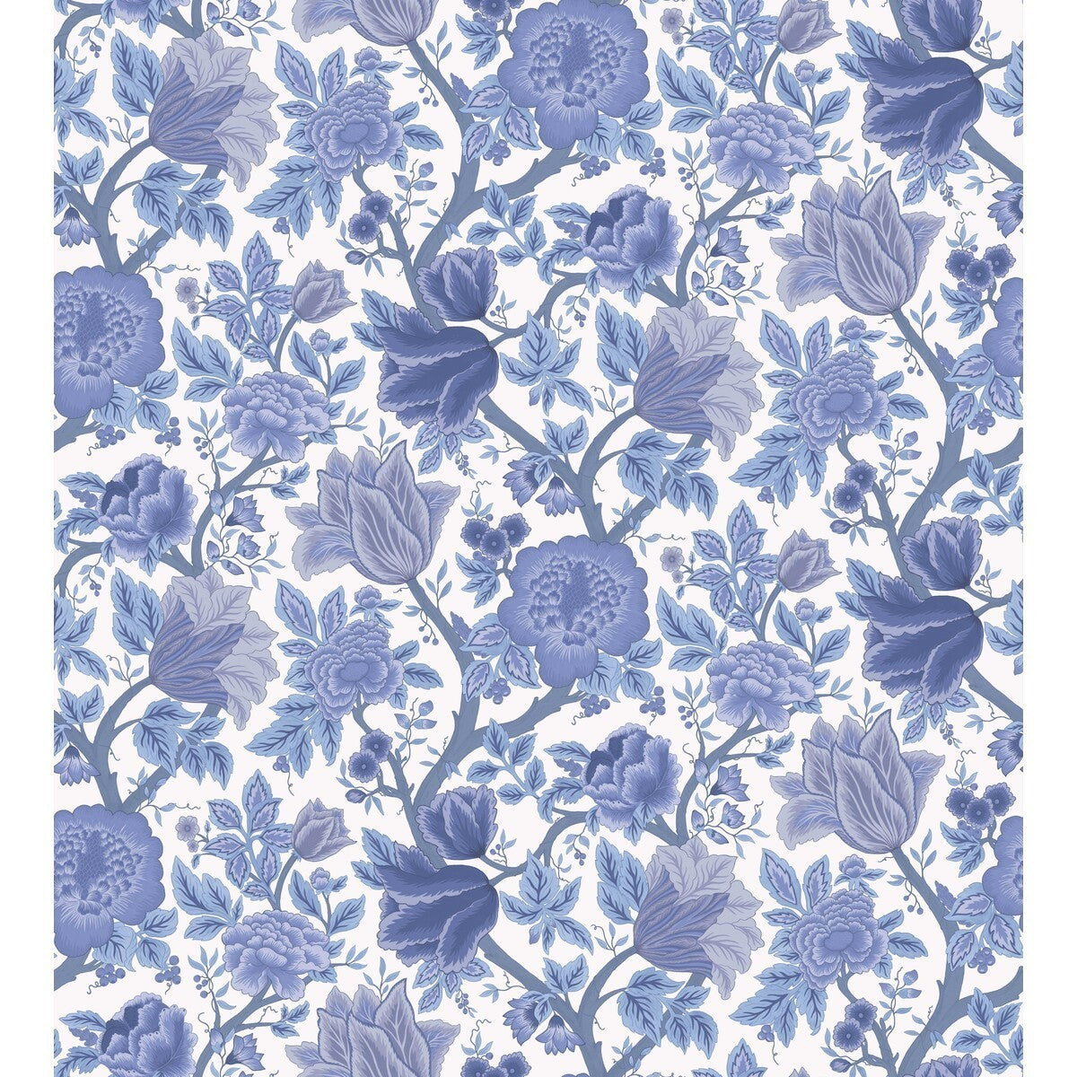1164016cs0-midsummer-bloom-hyacinth-cole-son