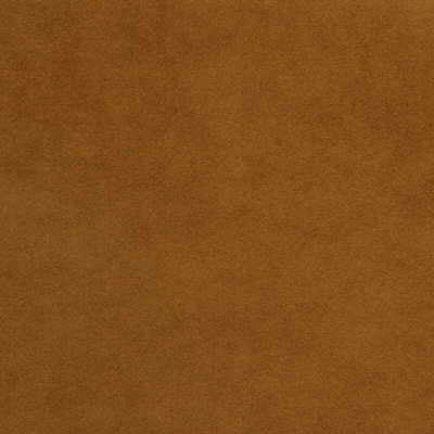 ultrasuede6120-ultrasuede-bridle-kravet-design - KRAVET DESIGN Fabric