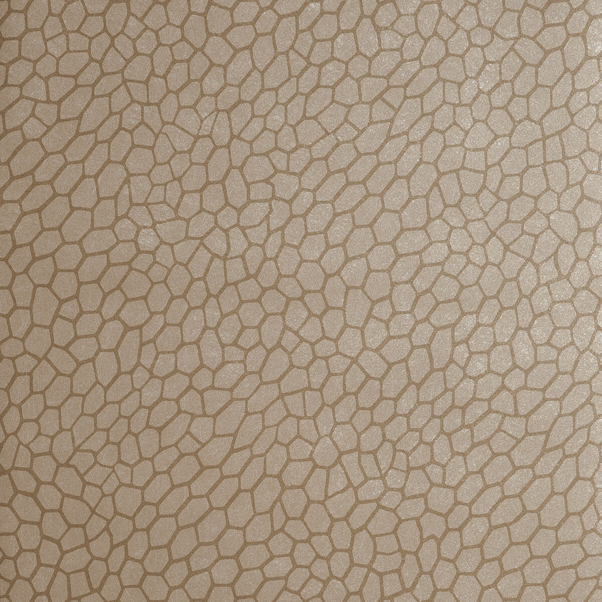 w005801cac0-playa-antique-clarke-and-clarke