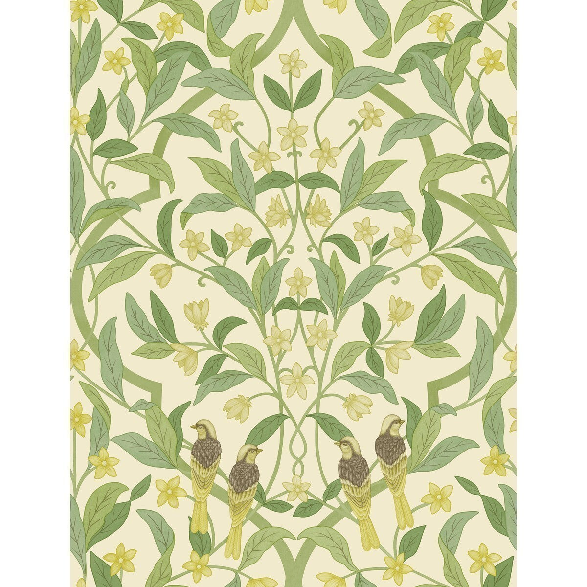11710031cs0-jasmine-serin-symphony-chartreusegrnwt-cole-son - COLE & SON Wallpaper