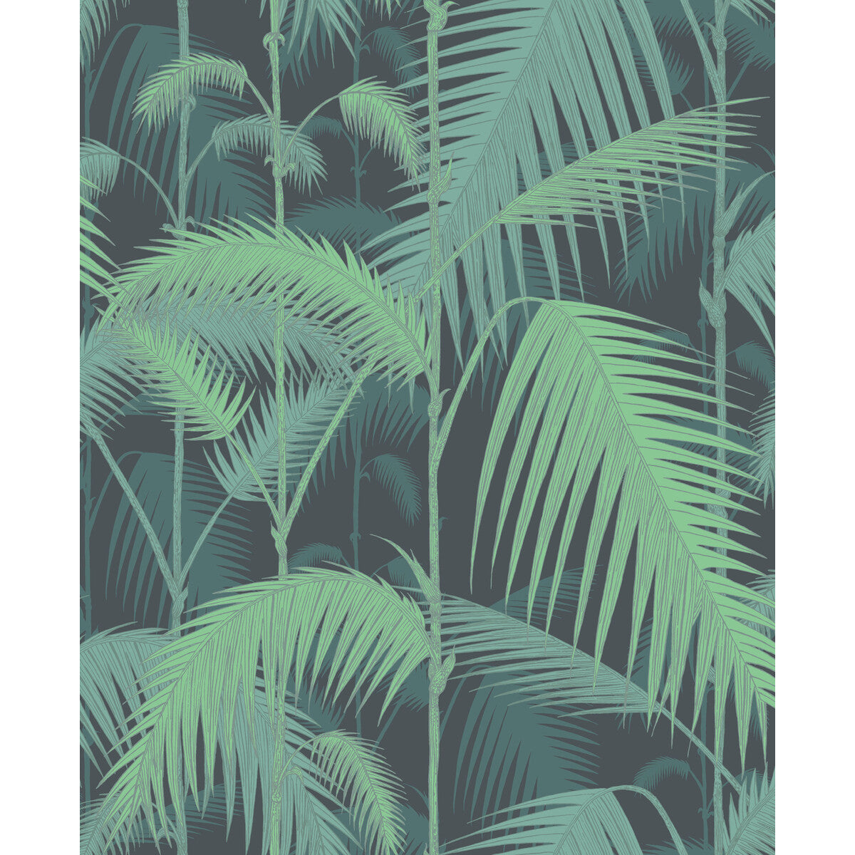 951003cs0-palm-jungle-greenblack-cole-son - COLE & SON Wallpaper