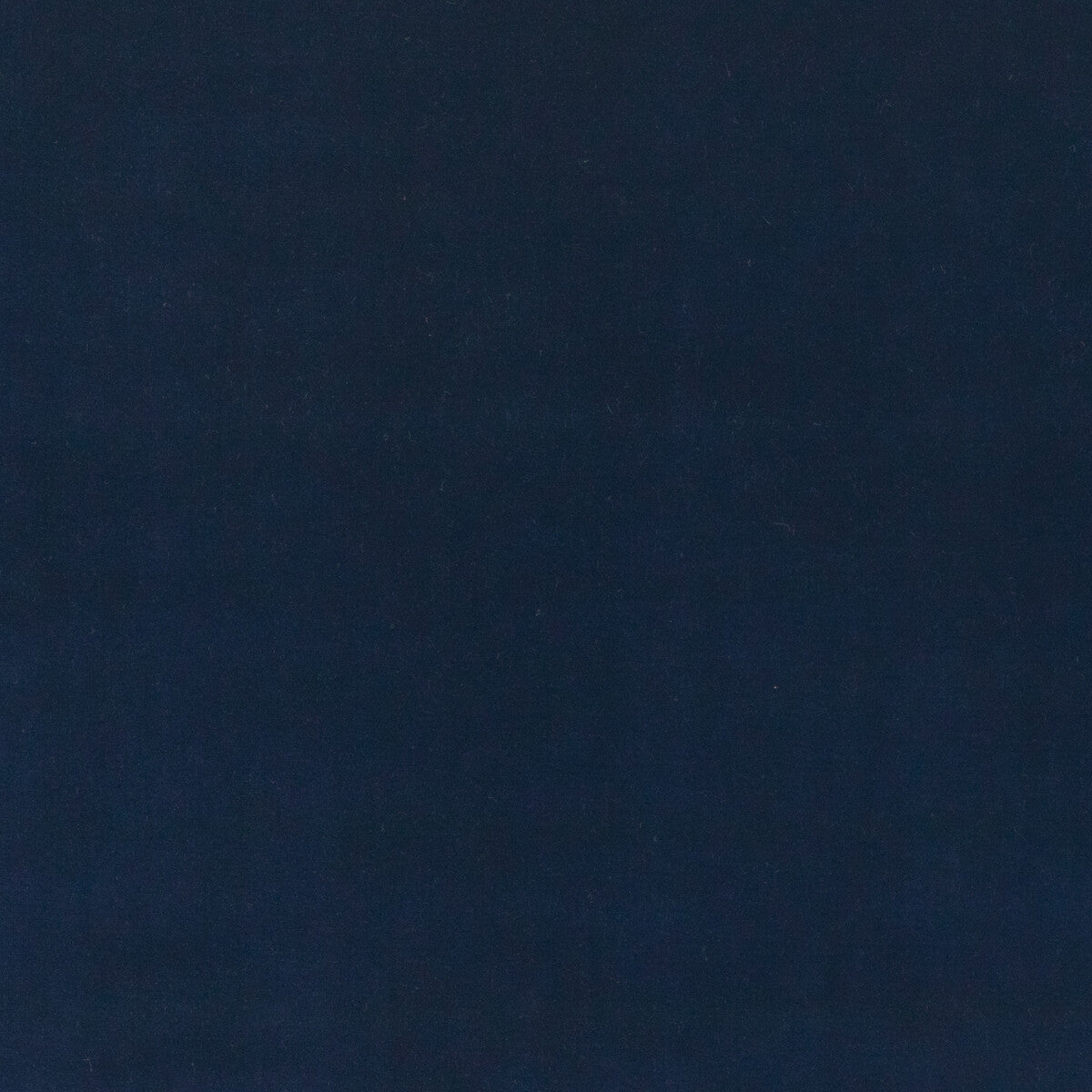 bf108386800-baker-house-velvet-indigo-g-p-j-baker - G P & J BAKER Fabric
