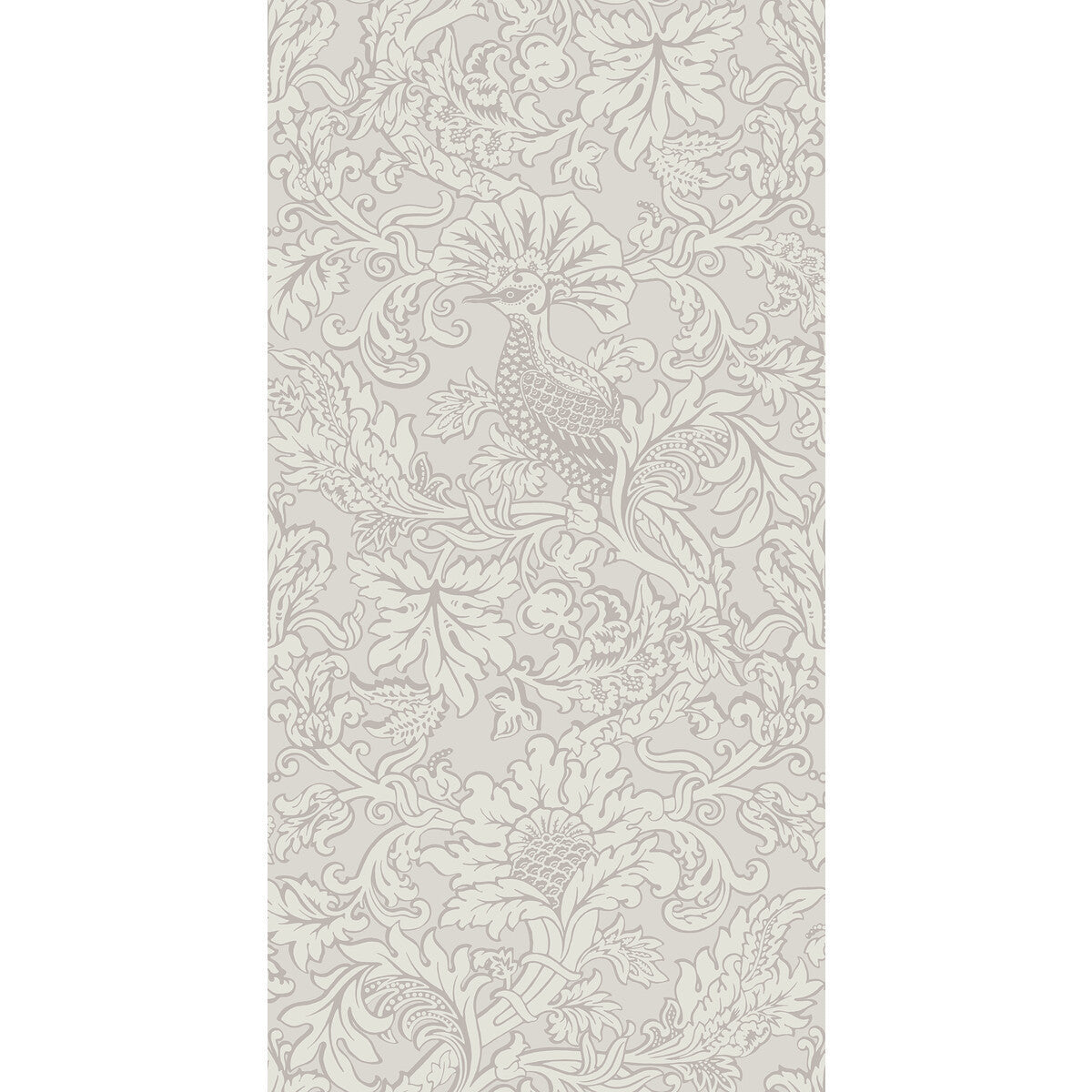 1081002cs0-balabina-stone-cole-son