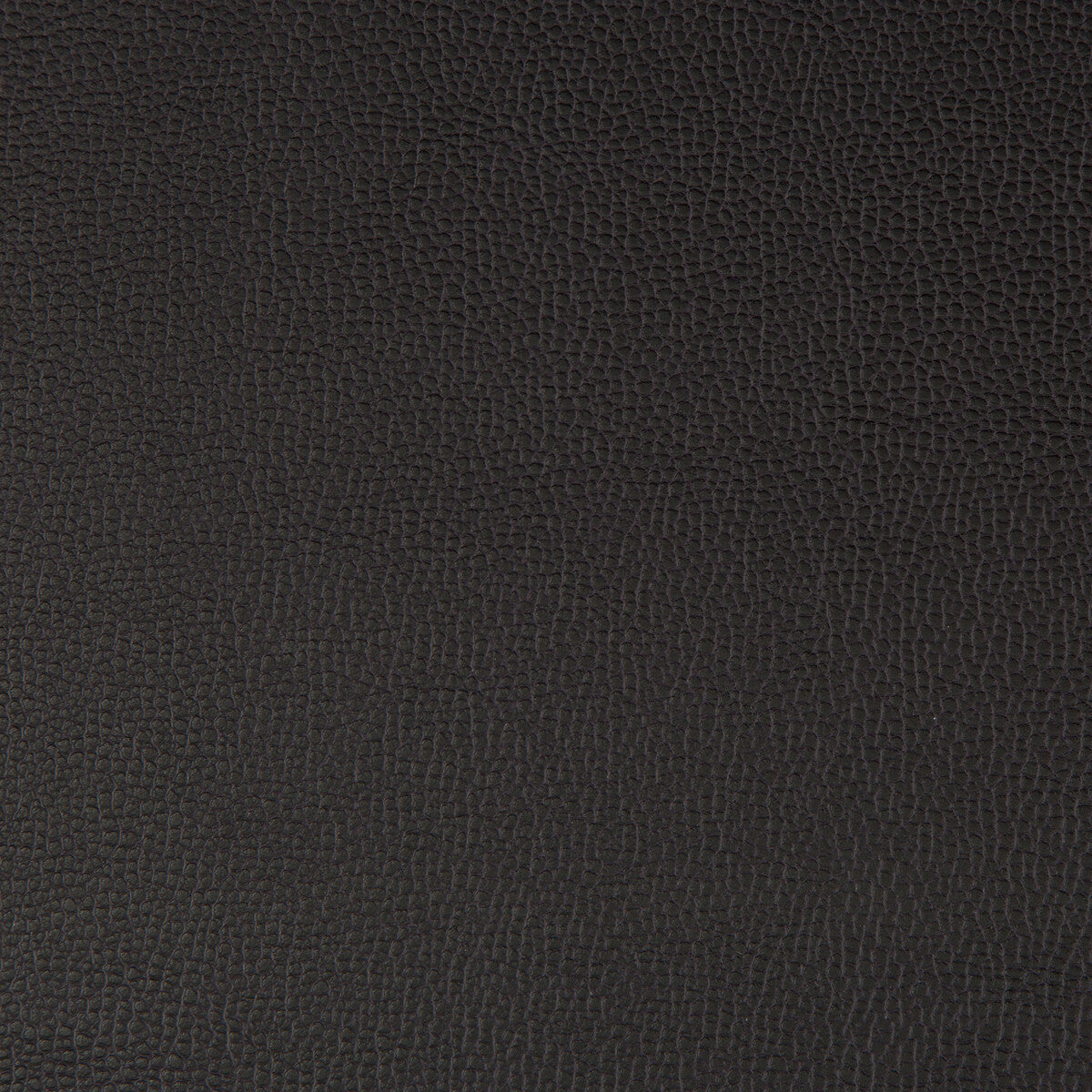 lenox80-lenox-raven-kravet-contract