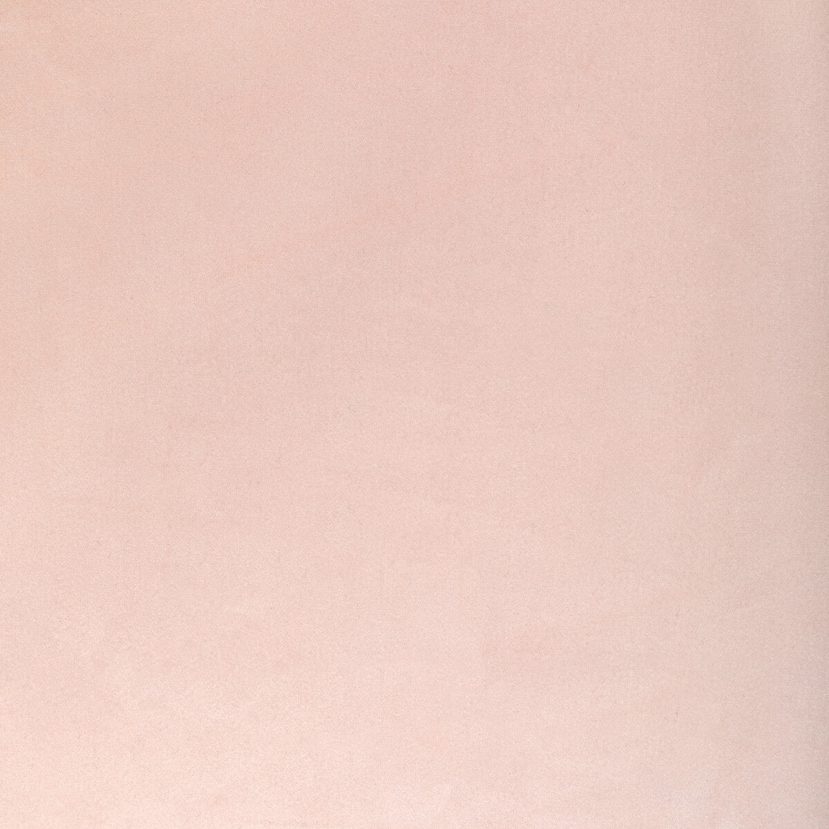 kw-100653685mg470-rocco-velvet-blossom-kravet-contract - KRAVET CONTRACT Fabric