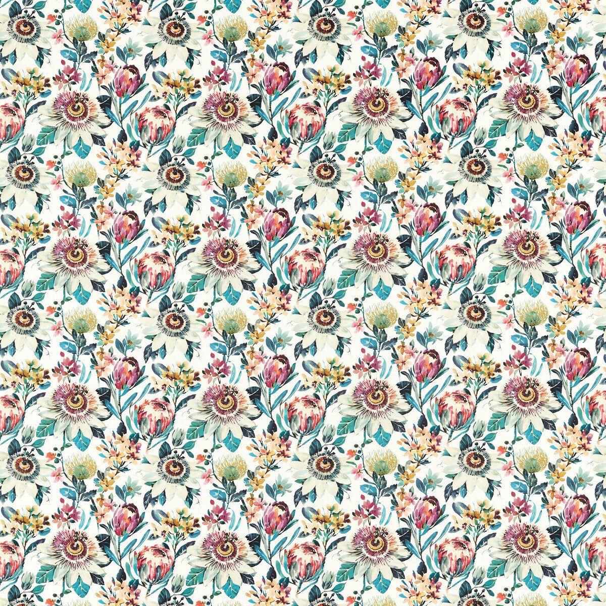 f151903cac0-paradise-russet-clarke-and-clarke