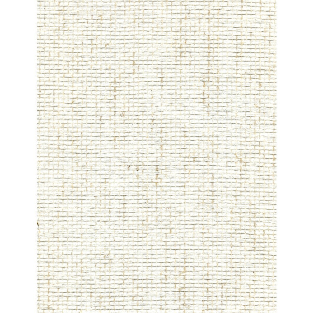 wnw2224wt0-pick-weave-vanilla-bean-winfield-thybony - WINFIELD THYBONY Wallpaper