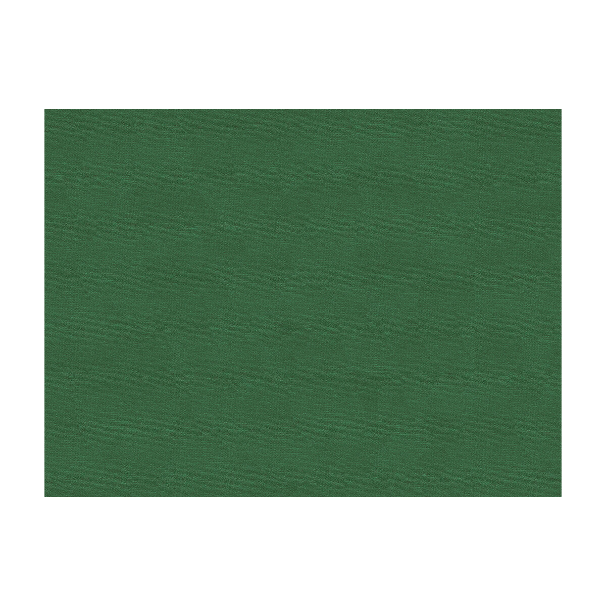 br-897794400-lubeck-cotton-velvet-ivy-brunschwig-fils - BRUNSCHWIG & FILS Fabric
