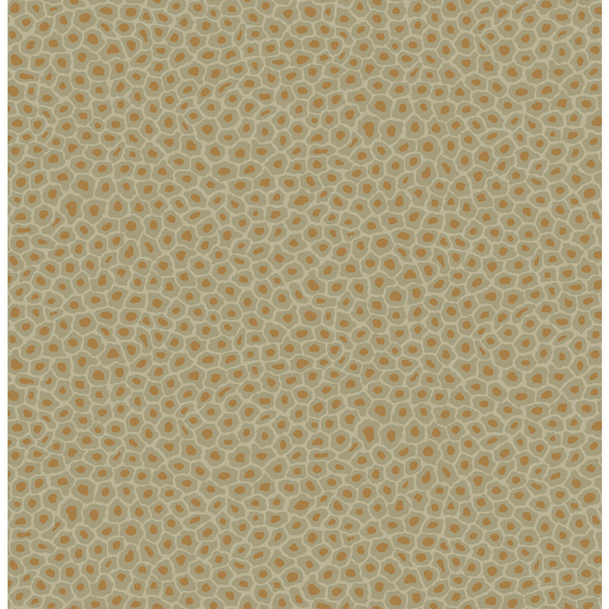 1096029cs0-senzo-spot-olive-cole-son