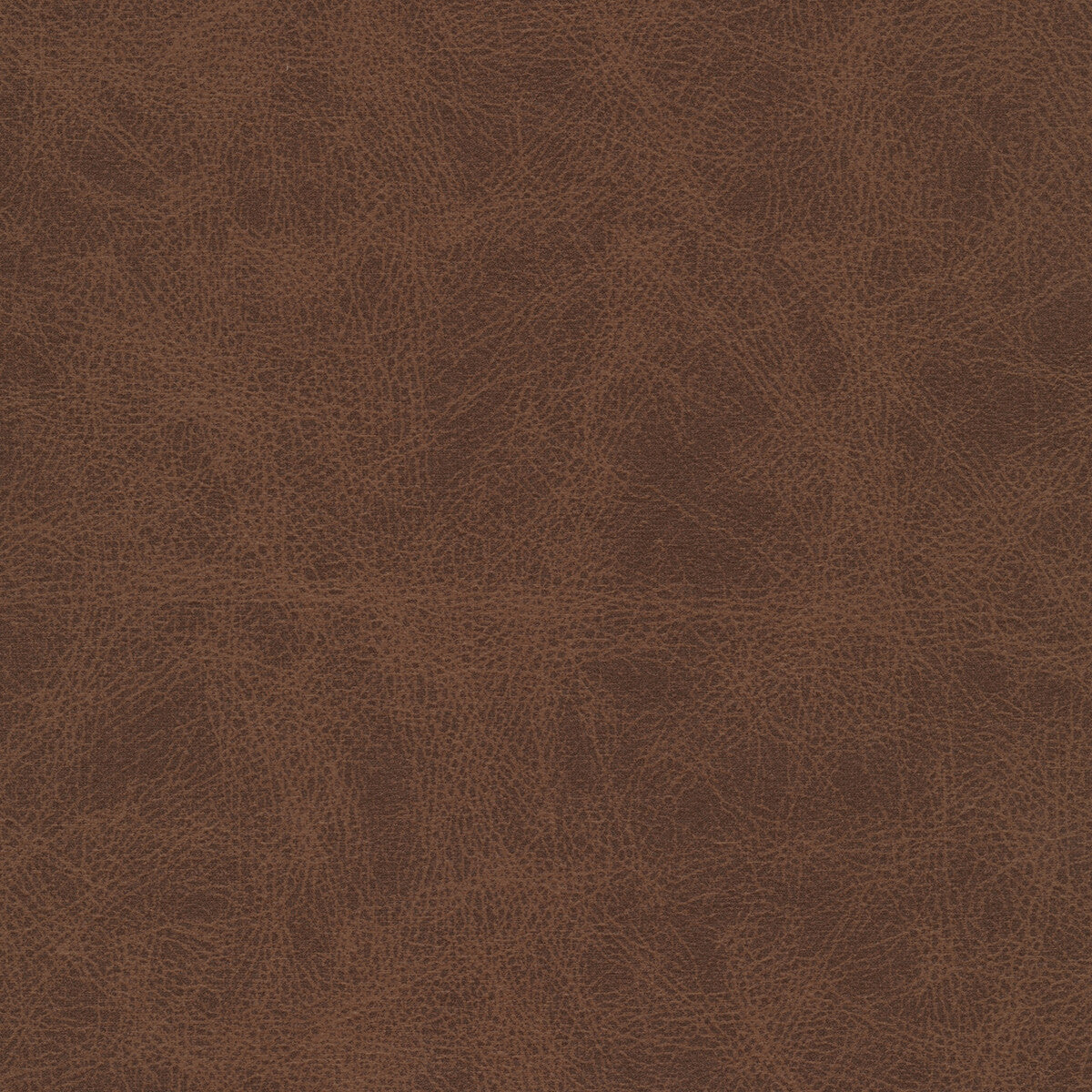 patch60-kravet-design-patch-6-kravet-design