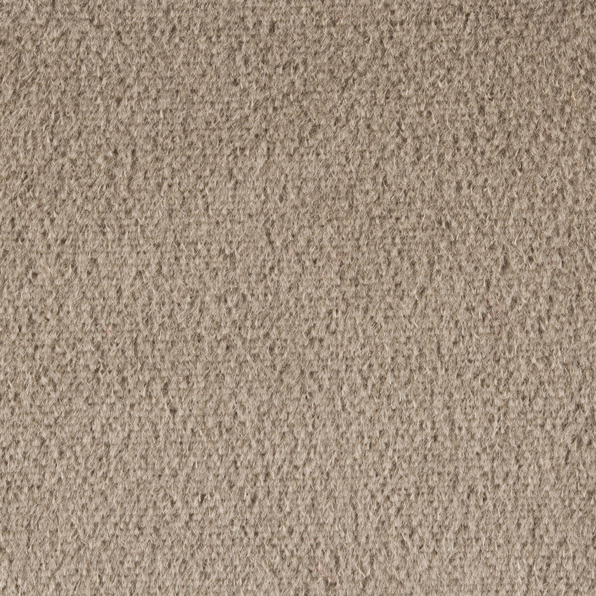 br-897789250-autun-mohair-velvet-pumice-brunschwig-fils - BRUNSCHWIG & FILS Fabric