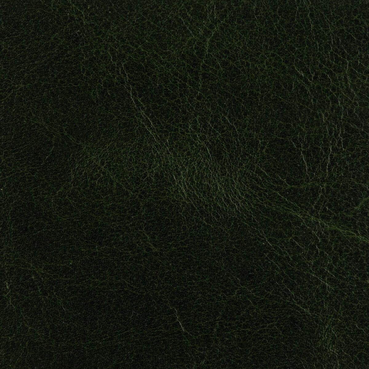 ed500157940-crawford-forest-green-threads - THREADS Fabric