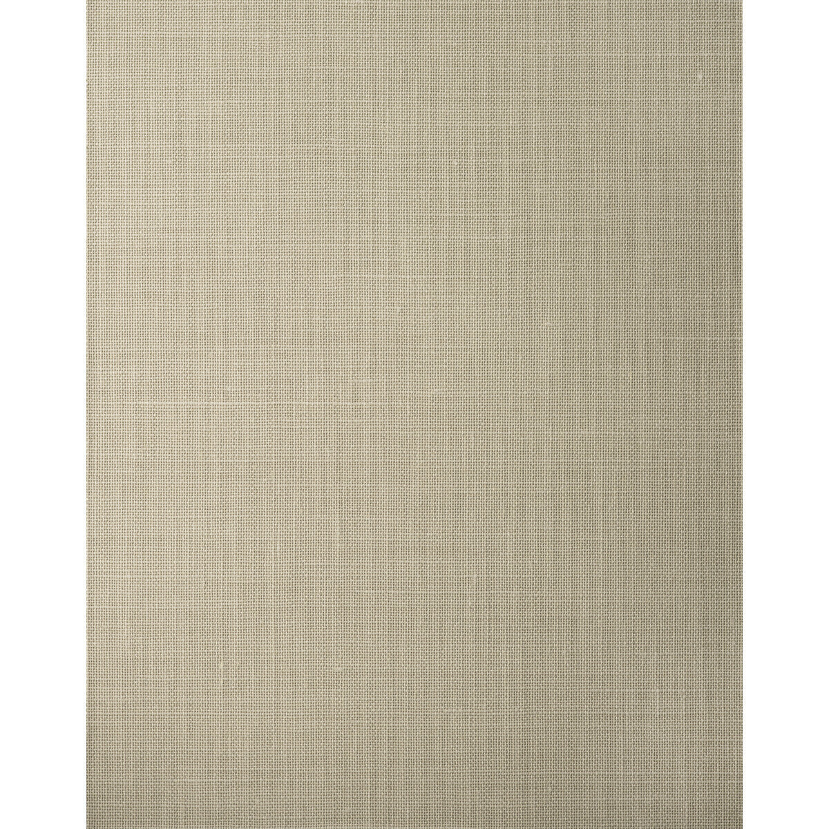 wft1714wt0-morris-acorn-winfield-thybony - WINFIELD THYBONY Wallpaper