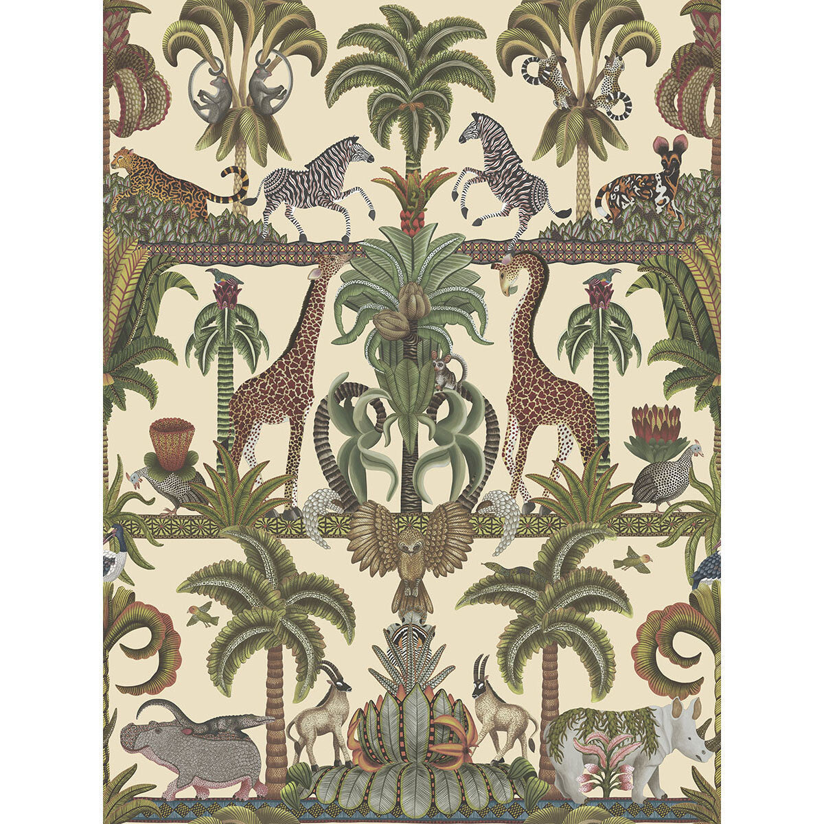 1195026cs0-afrika-kingdom-olgreen-spgreencream-cole-son