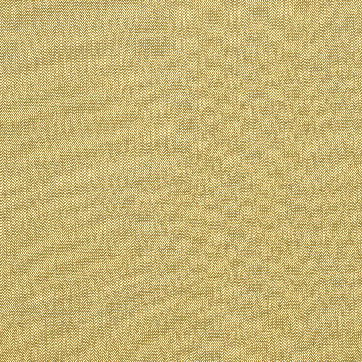 gdt538460-donald-amarillo-gaston-y-daniela