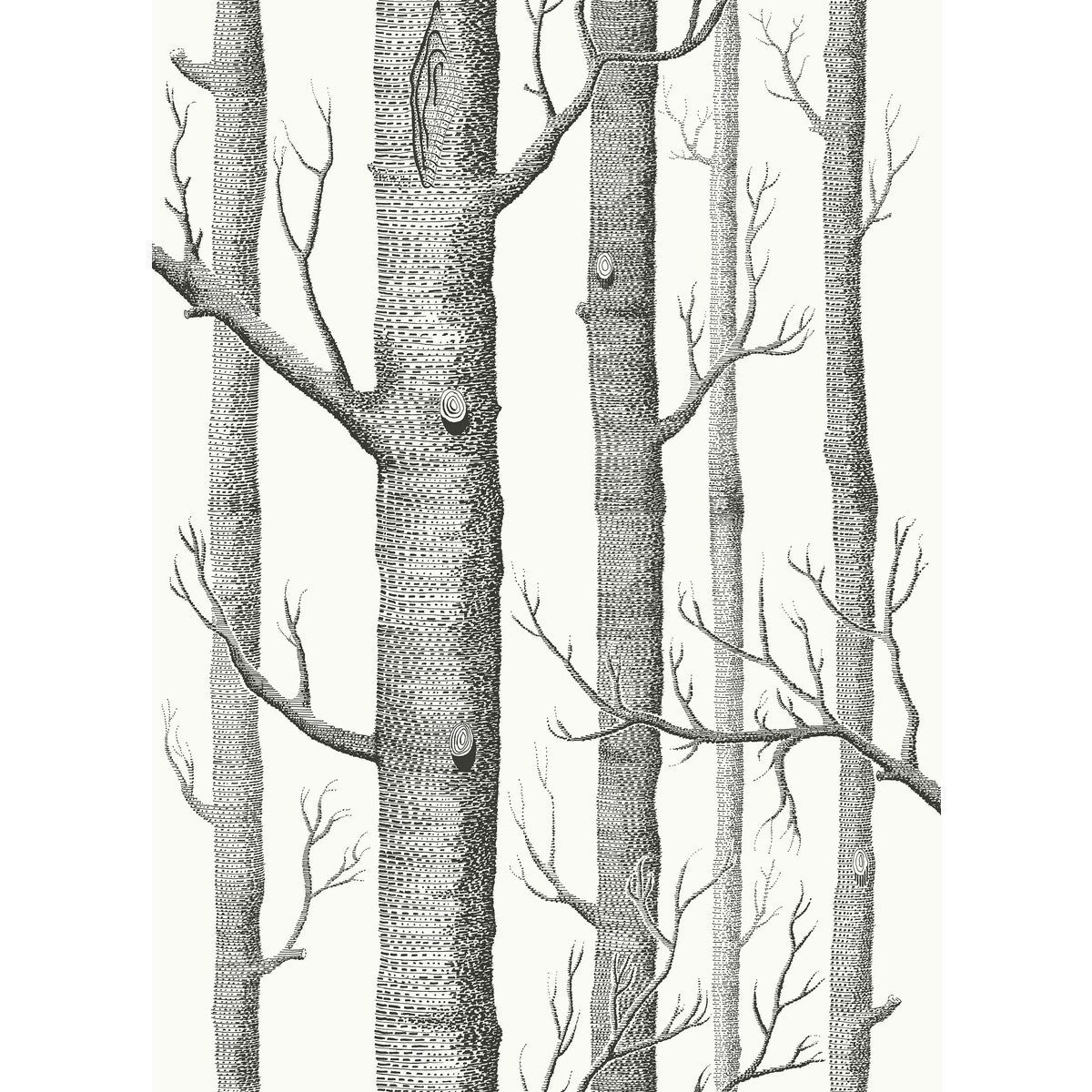 f1117026lcs0-woods-cotlin-print-blk-wht-cole-son