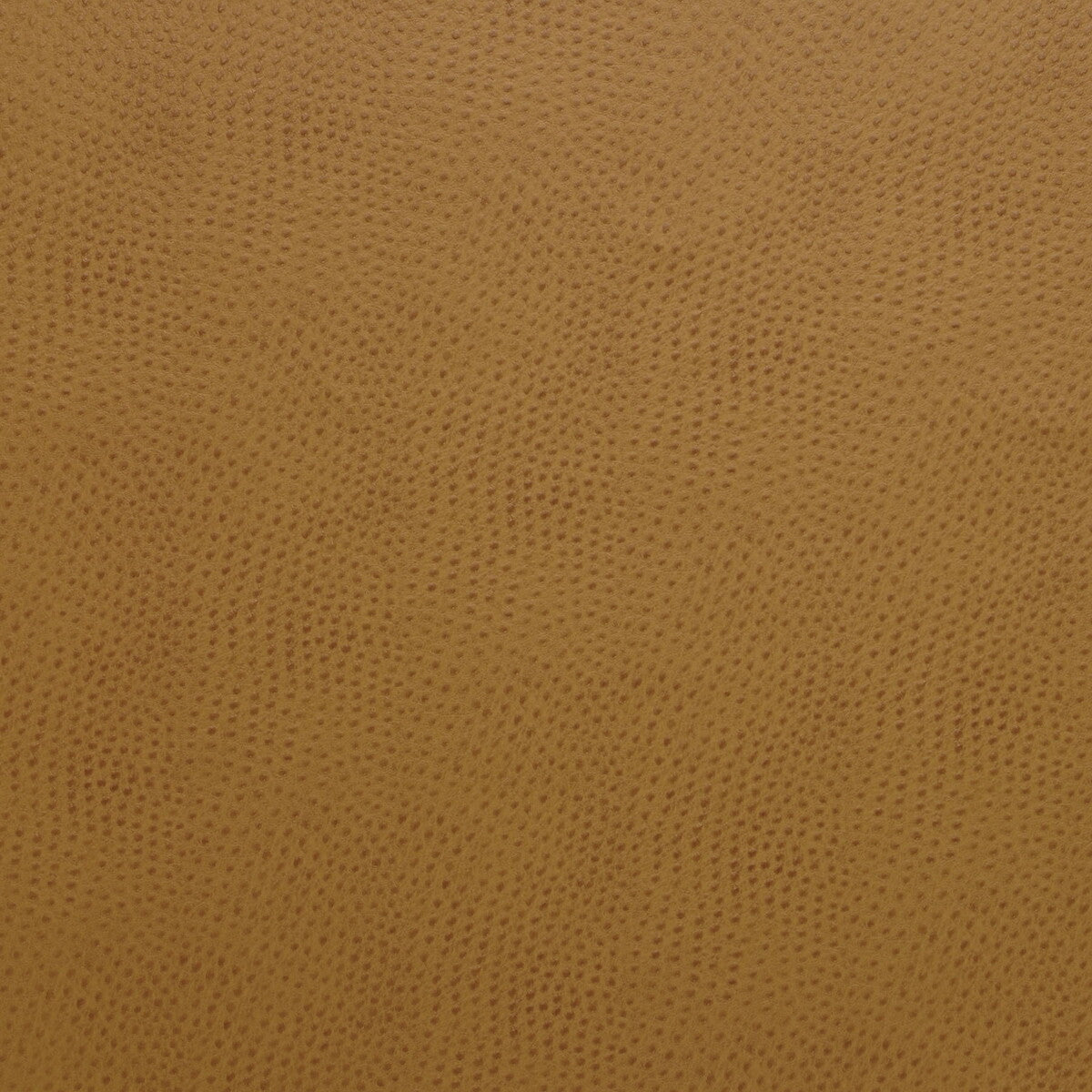 delaney120-kravet-design-delaney-12-kravet-design