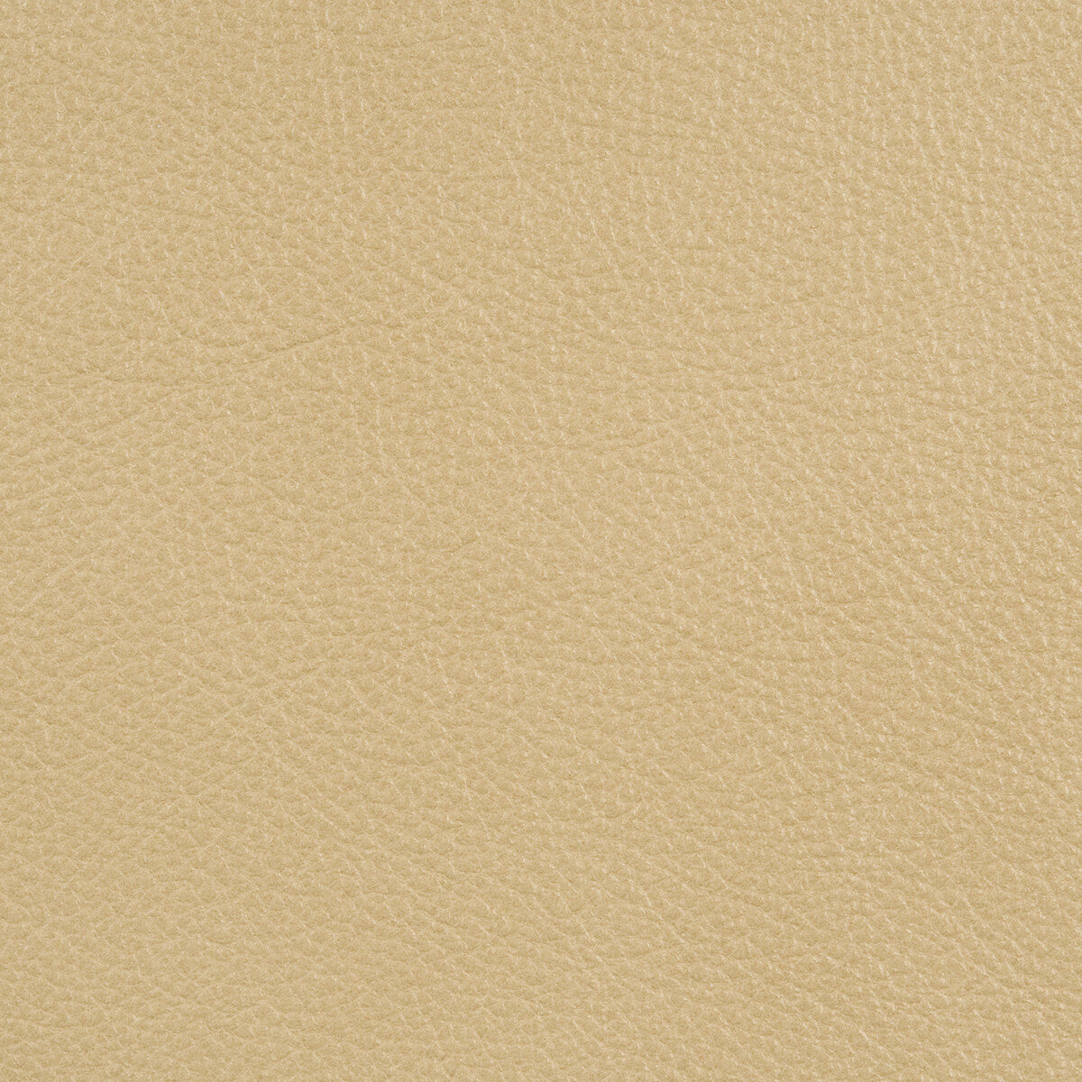 l-portofinwhite-sand0-kravet-design-l-portofin-white-sand-kravet-design